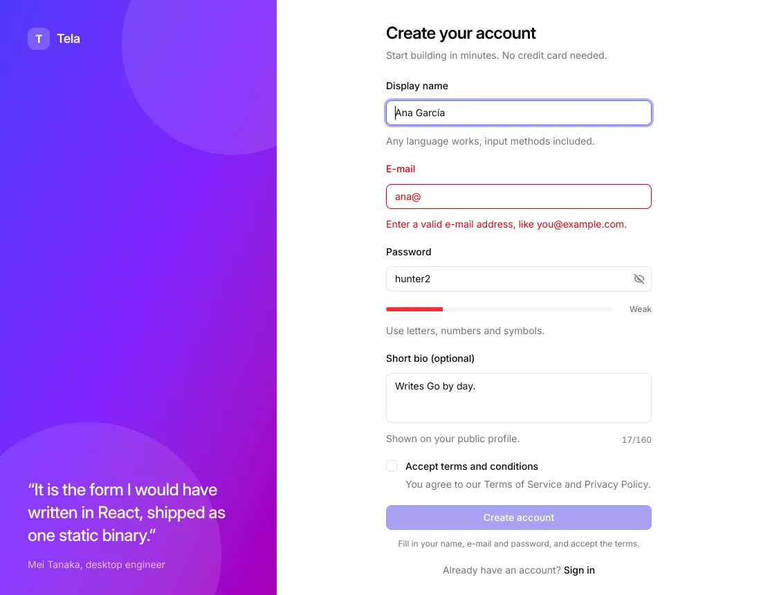The signup example, with an invalid e-mail